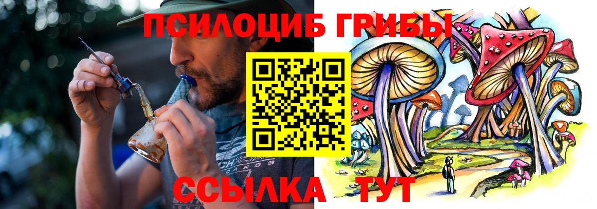 Галлюциногенные грибы GOLDEN TEACHER Карталы