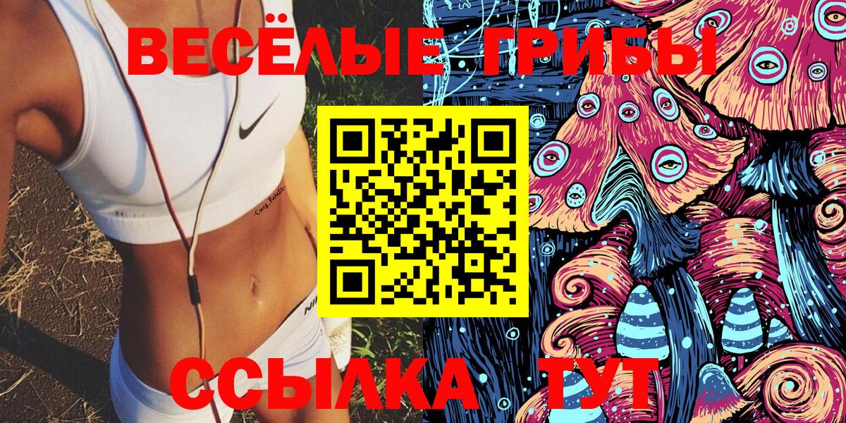 Псилоцибиновые грибы Psilocybe  Псилоцибиновые грибы ЛСД  Карталы  где можно купить наркотик  Вход с VPN 